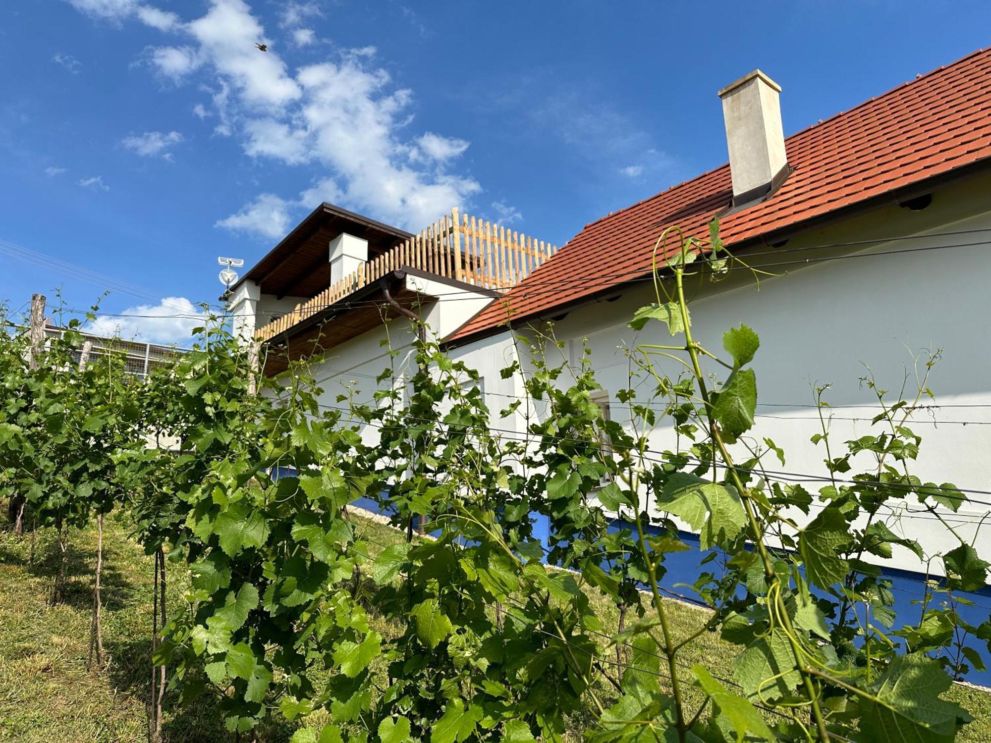 Nad Slovackym Sklipkem Villa Tupesy Dış mekan fotoğraf